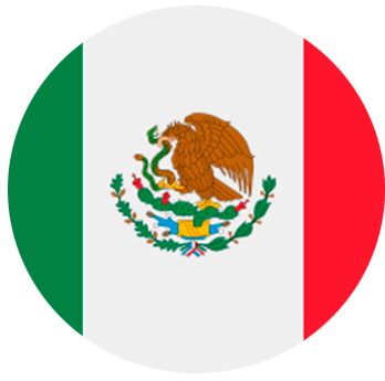 mx flag